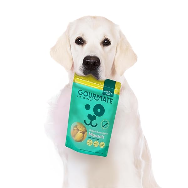 GOURMATE PET TREAT CO. GREEN LIPPED MUSSELS FOR DOGS – HUMAN GRADE DOG TREATS – 100% NATURAL, FREEZE DRIED SNACK WITH OMEGA-3, GLUCOSAMINE & CHONDROITIN FOR HEALTHY COAT & JOINT SUPPORT – 50G/1.76OZ