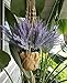 Aplstar 8pcs Artificial Lavender Bouquet in Purple Flowers DIY Floor Garden Office Bridal Home Wedding Decor