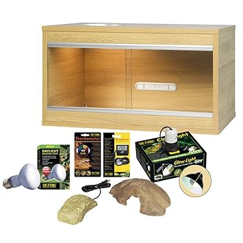 vivexotic viva bearded dragon starter kit