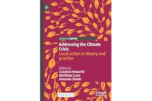 Addressing the Climate Crisis: Local action in theory and practice