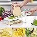 BestFire Adjustable Mandoline Slicer Vegetable Slicer Grater Cutter Chopper, Julienne Slicer Food Slicer with 5 Interchangeable Blades Food Container Safety Holder Vegetable Peeler (Green)