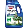 BioAdvanced 12 Month Tree and Shrub Protect and Feed II, Granules, 10 Pound, Outdoor Insect Killer
