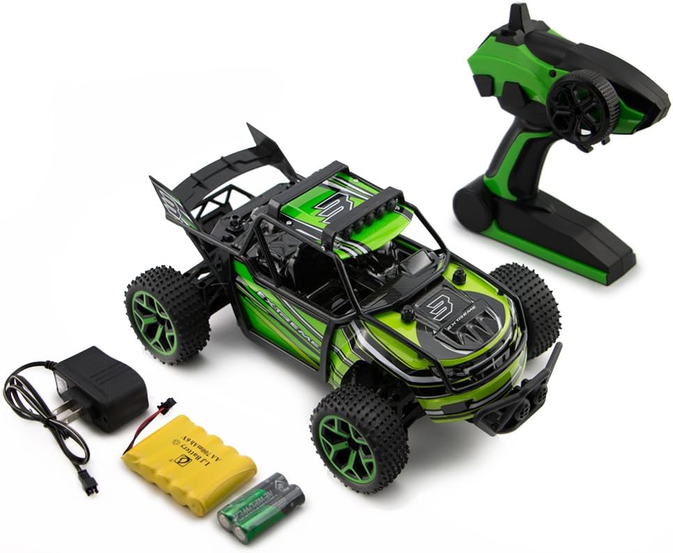 Zhencheng 1/18 Scale Electric 2.4Ghz 4WD Extreme High Speed Sport Car RC Rally Car Toy Vehicle,Green