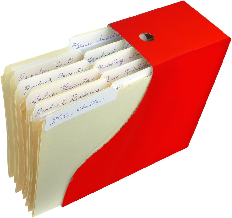 Evelots Magazine File Holder-Organizer-Full 4 Inch Wide-6 Colors-W/Labels-Set/6 : Office Products