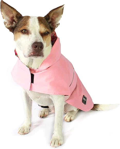 amazon dog raincoat