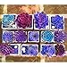 200Pcs Mixed Flower Seeds Rare Beauty Succulent Easy to Grow Mini Potted Garden