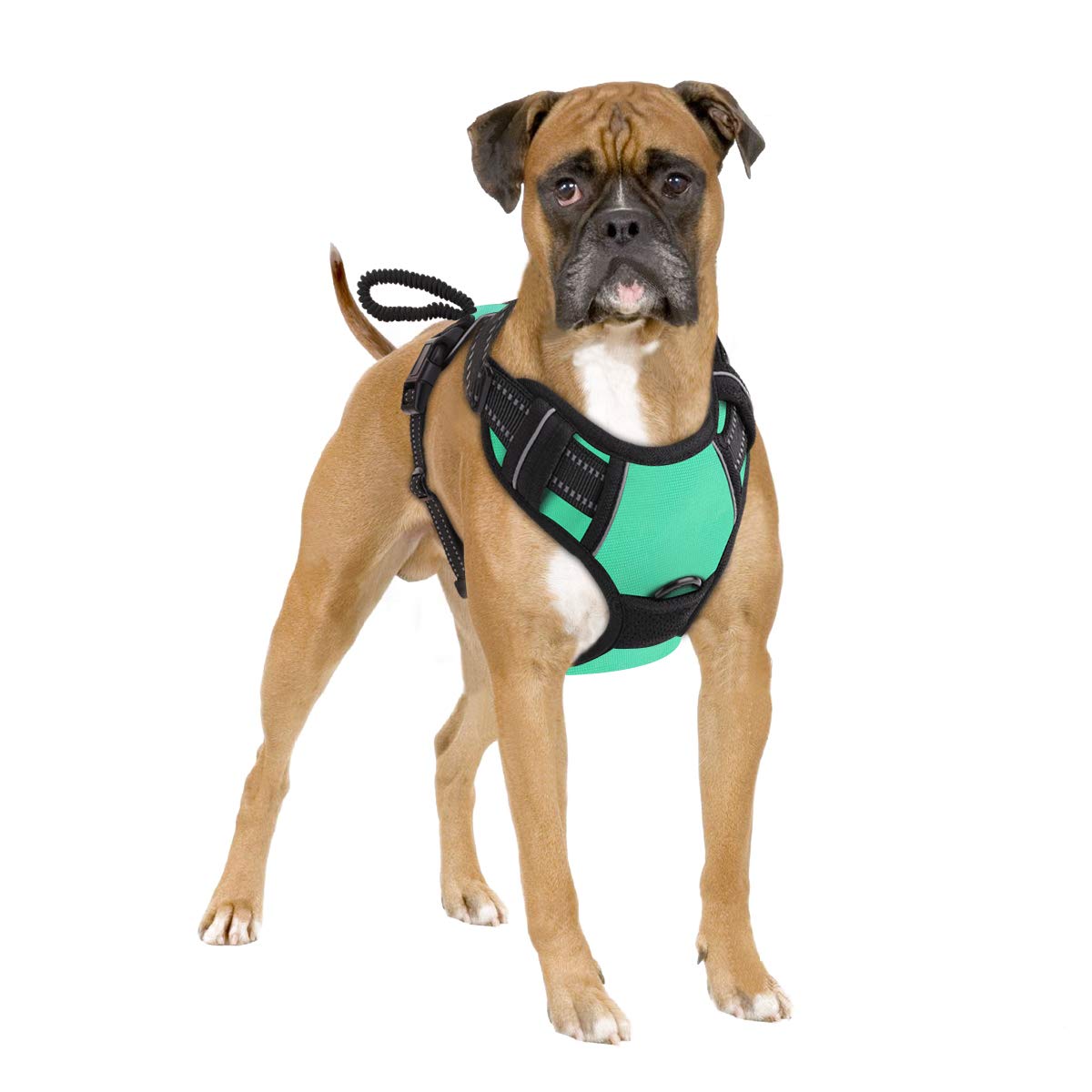 pawaboo dog harness