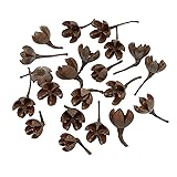 Queenbox 20Pcs Natural Dried Cross Fruit Craft