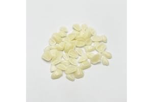 HRASY 1 Pack Dental Temporary Veneer Tooth Thin Veneers with Filling Beads for Teeth Upper and Lower Anterior Whitening or DIY, A2