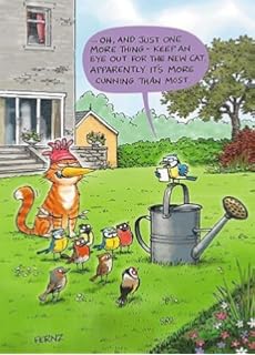 Humour Birthday Card PL ~ FREE POSTAGE UK Duck