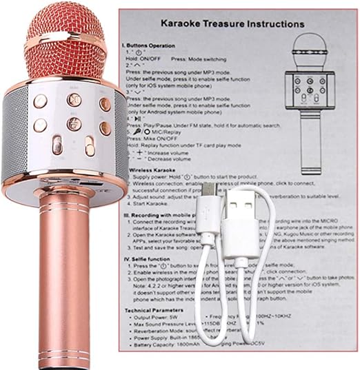 i dance karaoke speaker and microphone
