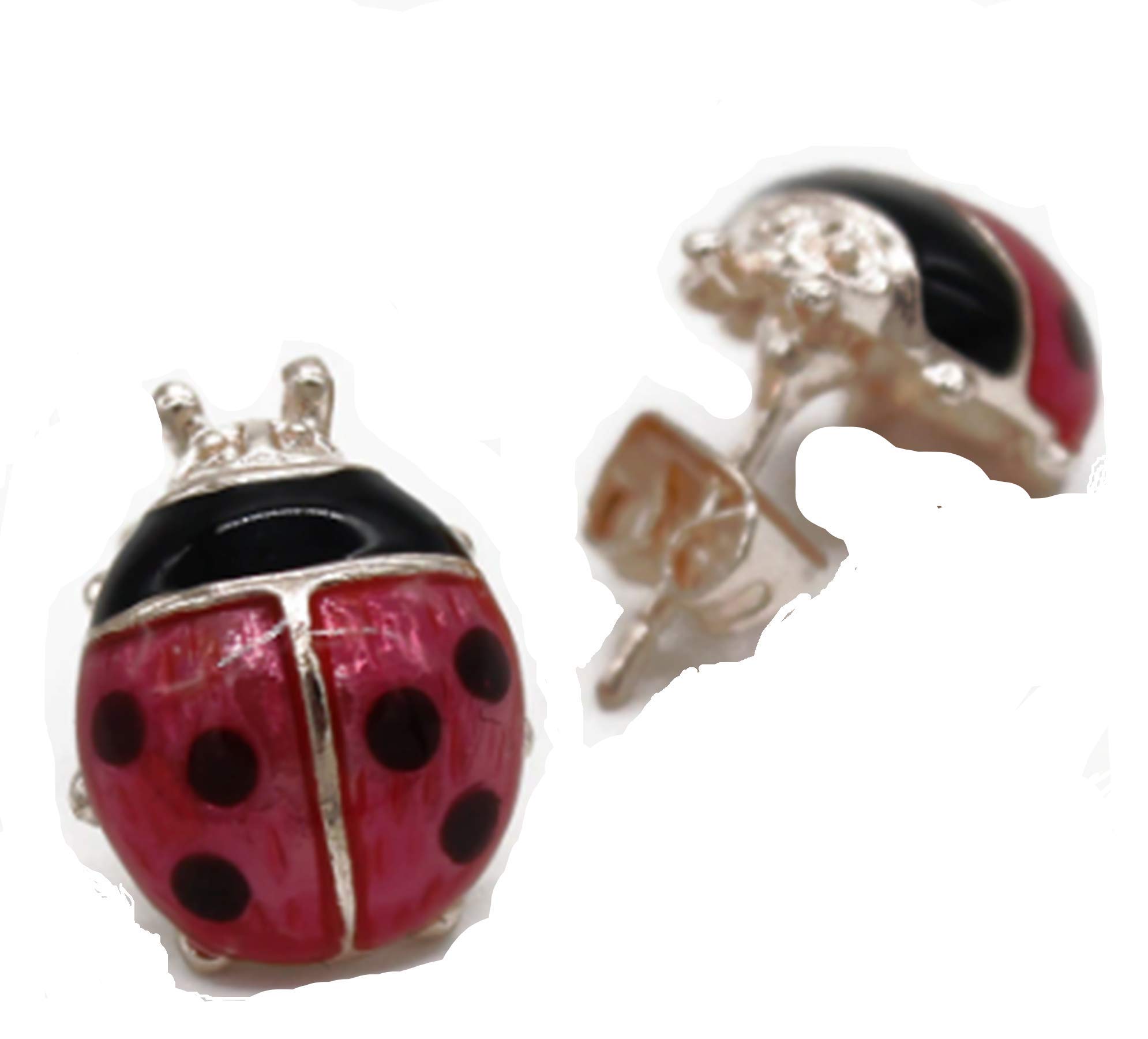 Gift Boxed Ladybird Earrings for Women