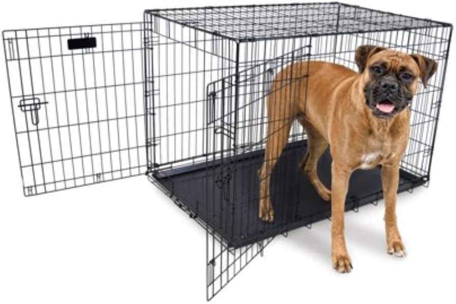 provalu dog crate