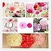 Tissue Paper Pom Poms - 5 pcs Ohuhu Paper Flowers, Decorations Crafts Pompoms Great for Baby Shower & Wedding Bridal Birthday Fiesta Holiday Event Pink Party Decorations