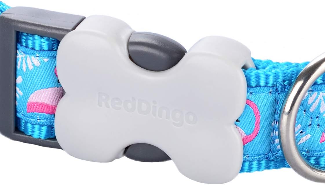 Red Dingo Bucklebone Dog Collar Design, Flamingo Turquoise, X-Small 15mm, XS (Pack of 1) - Image 3