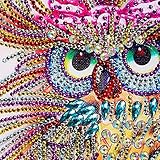 Clothful  Special Shaped Diamond Painting DIY 5D Partial Drill Cross Stitch Kits Crystal R