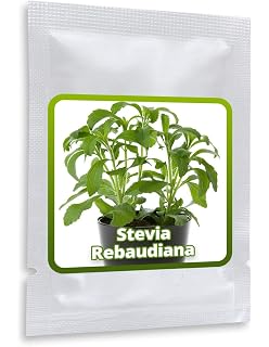 Huerto Urbano - Kit Stevia - Batlle: Amazon.es: Jardín