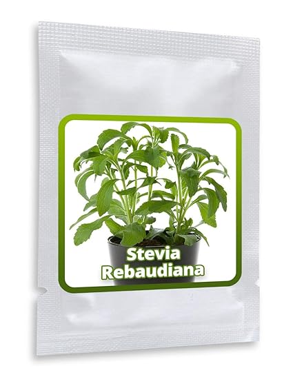 STEVIA SAMEN ca. 100 Stück/Pack - Süßkraut/Honigkraut