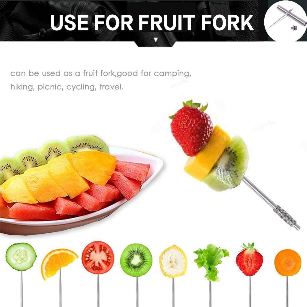 Toothpick Holder,Likorlove EDC Titanium Waterproof Titanium Toothpick + Holder Case with Key Chain Pendant for Travel Hiking Camping Outdoor