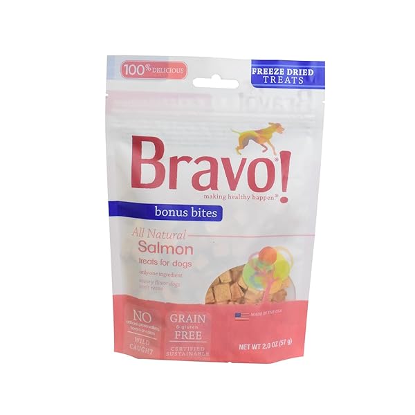BRAVO! BONUS BITES SINGLE INGREDIENT FREEZE DRIED RAW DOG TREATS, SALMON, 2 OUNCE, HIGH PROTEIN, GRAIN FREE, GLUTEN FREE