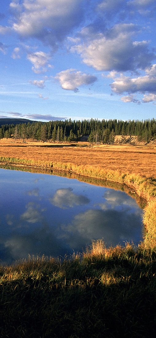 PeelitStickit, Beautiful Nature Wall Murals, ID-3313, vinyl