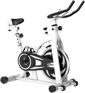 exercise bike for home