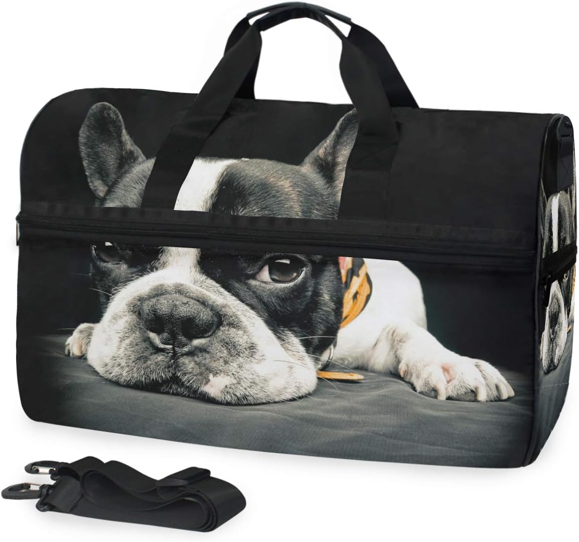 65+ Best French Bulldog Backpack Carrier Picture Bleumoonproductions
