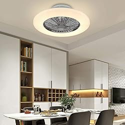 DLLT Ceiling Fan with Led Lights, 20'' Modern