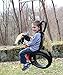 Pony Pal Recycled Horse Tire Swing