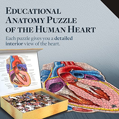 Dr. Livingston's Human Heart Anatomy Puzzle A Medically Accurate Jigsaw Puzzle of the Heart