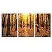 wall26 - 3 Piece Canvas Wall Art - Autumn Trees in the Forest - Modern Home Decor Stretched and Framed Ready to Hang - 24