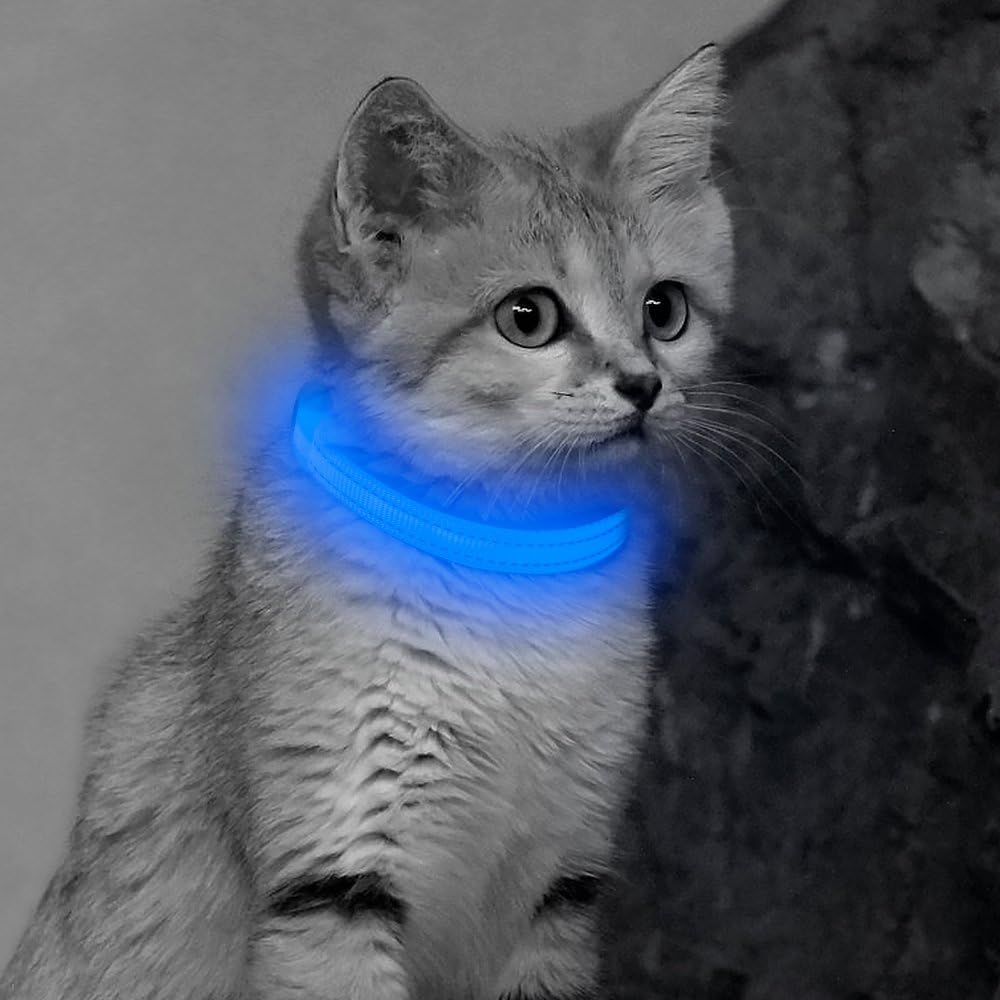 empire state k9 training