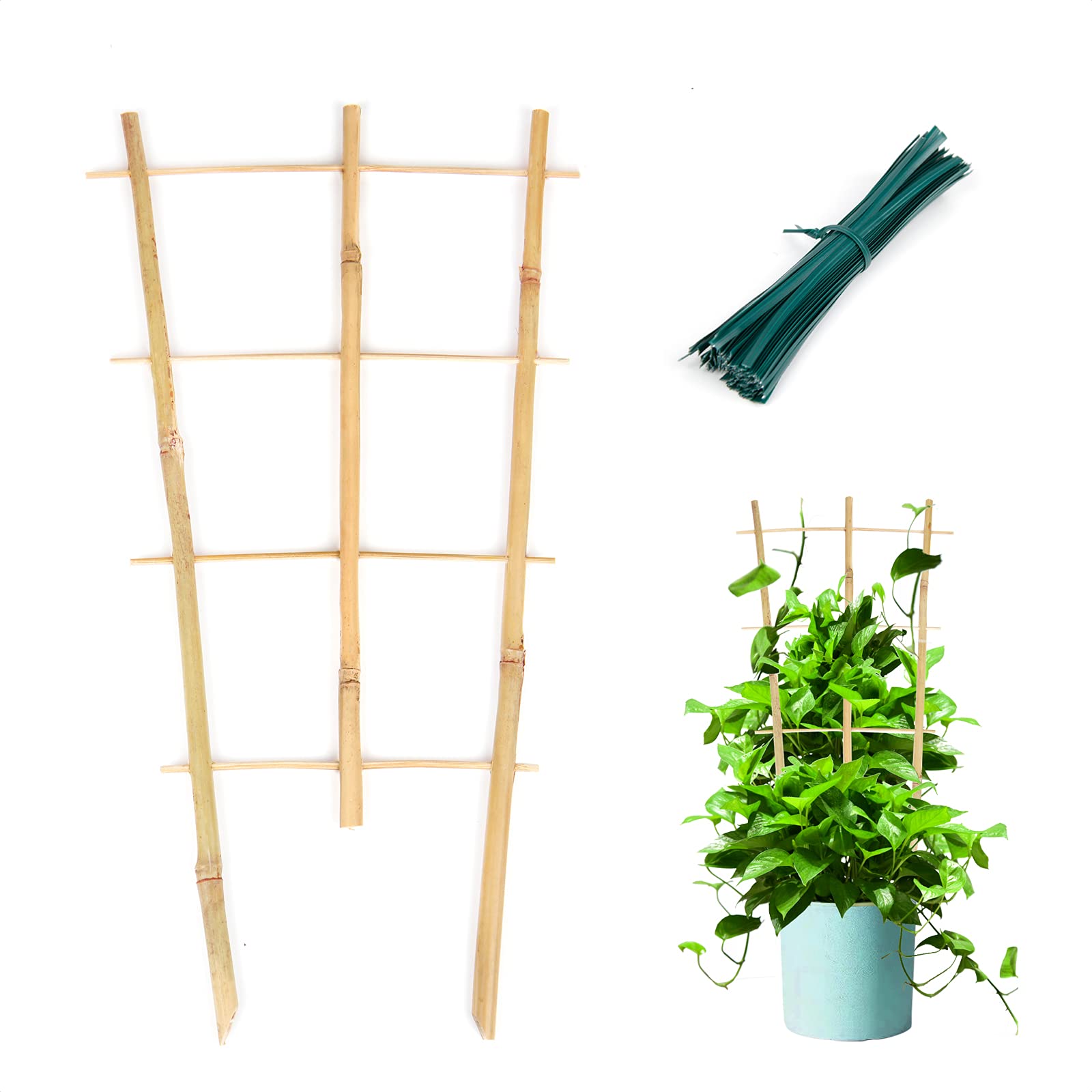 Cambaverd 3 Pack Min Bamboo Trellis 16 in Fan-Shaped Plant Support Trellis with Twist Ties for Indoor Mini Climbing Plants