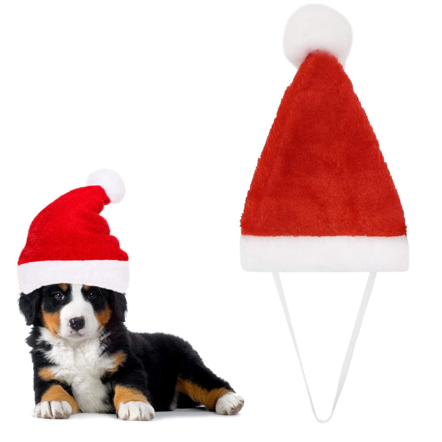 ALLY-MAGIC Christmas Pet Santa Hat, Cat/Dog Costume Set, Small Dog Gift Y6-CWSDM