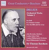 ORCHESTRAL WORKS-VOL. 2                            image