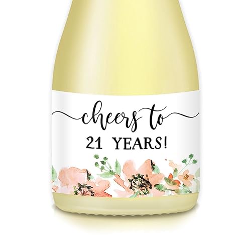 Amazon Com Woman S 21st Birthday Party Ideas Decorations