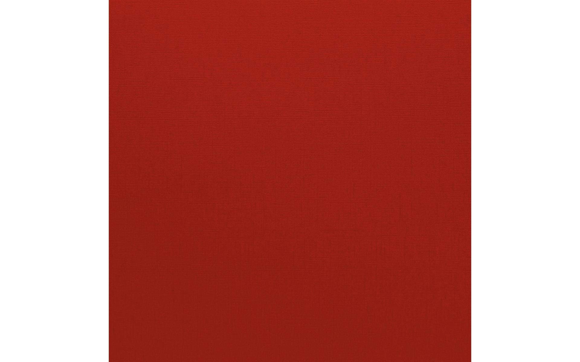 Bazzill Basics Paper 25 ScrapBooking Sheets Canvas Texture, Pomegranate