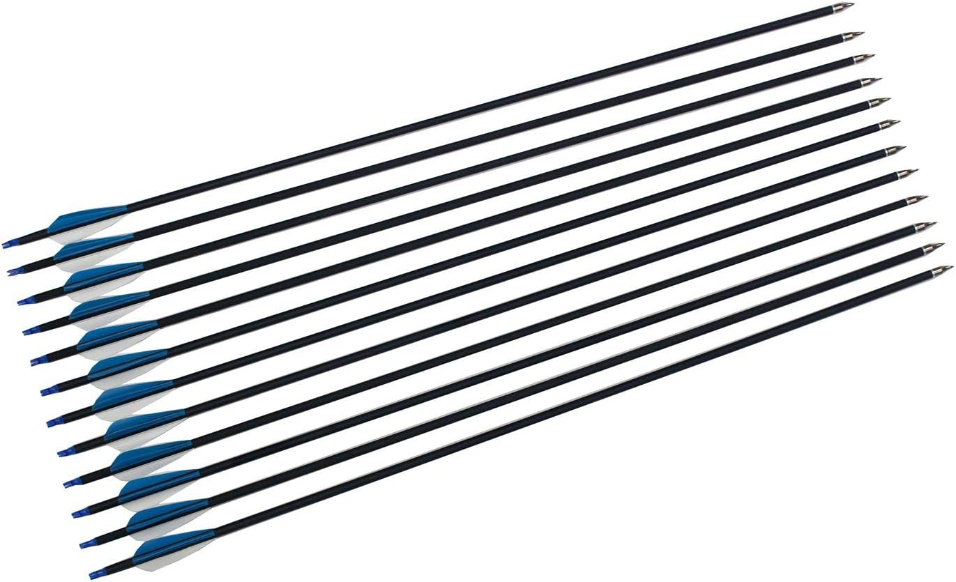 kaimei 30" Carbon Fiber Arrow White-Blue Replaceable Pointed Screw-in Recurve Compound Bow Practice Targeting Arrows (12 Pieces) : Sports & Outdoors