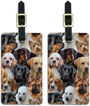 pat labrador puppies