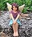 Wonky Hill Products Miniature Fairy Gardens Set- 3 Pieces Fairy Bluebell Accessory Fairy Door Starter Set