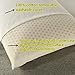 GOODREAM Talalay Natural Latex Pillow, Soft and Heavy Pillow, Dust Mite Resistant and Hypoallergenic, Standard