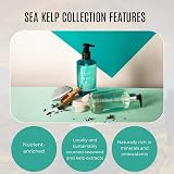 Scottish Fine Soaps Sea Kelp Shampoo 300ml for Dry Thinning Hair & Dandruff view 3