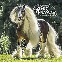Gypsy Vanner Horse 2018 Calendar Gypsy Vanner Horse 2018 Calendar