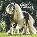 Gypsy Vanner Horse 2018 Calendar