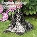English Cocker Spaniels 2020 12 x 12 Inch Monthly Square Wall Calendar, Animals Dog Breeds by 