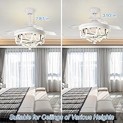 DLLT 40W Ceiling Fan with LED Lights, 42 Inch