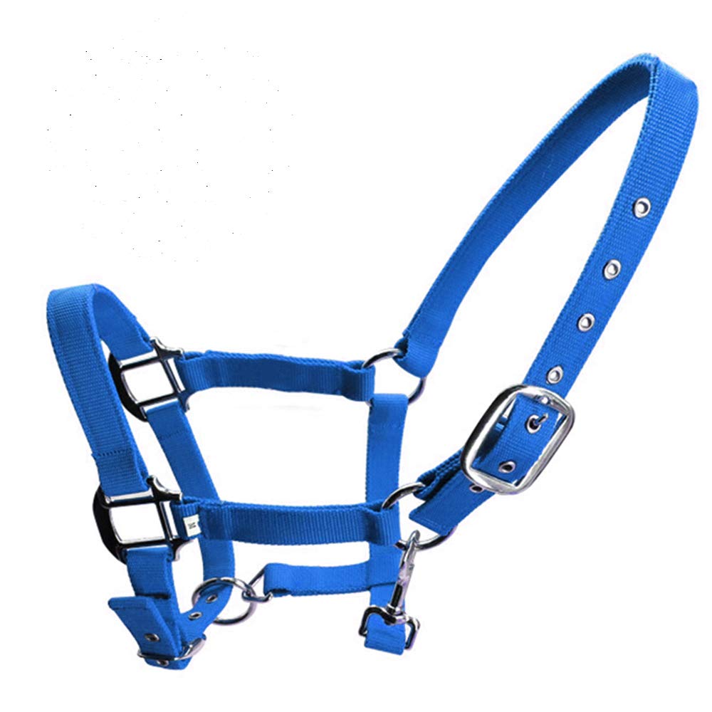 SagaSave Horse Headcollar Double-layer thickened webbing 3 Colors and Sizes Headcollar fleece trim Blue/Red/Black