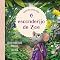 Livro O esconderijo de Zoe: quando você estiver ansioso