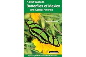 A Swift Guide to Butterflies of Mexico and Central America: Second Edition