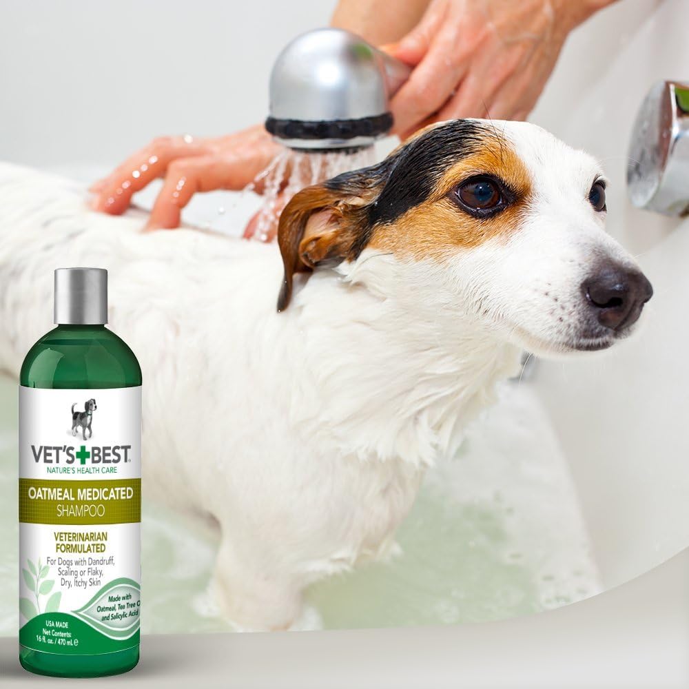 best medicated dog shampoo